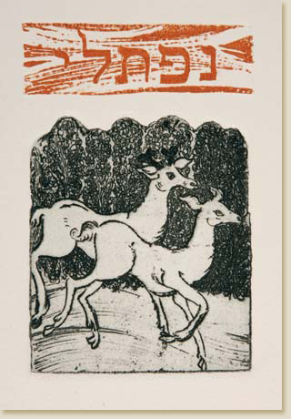 Twelve Tribes of Israel 10: Naphtali by Elizabeth Delson