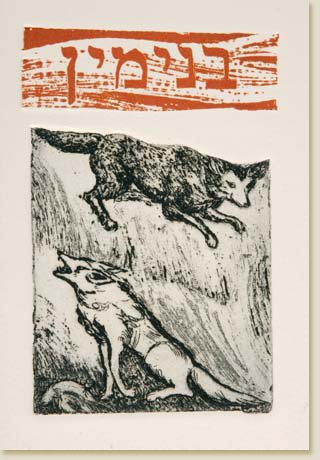 Twelve Tribes of Israel 12: Benjamin by Elizabeth Delson