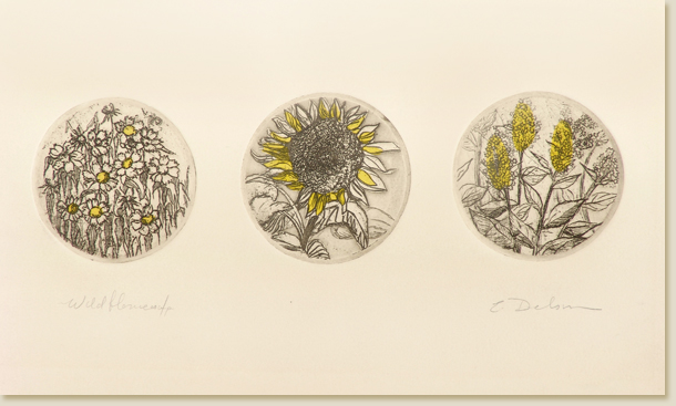 Wildflowers by Elizabeth Delson
