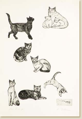 Cats Series 03: Nine Lives by Elizabeth Delson