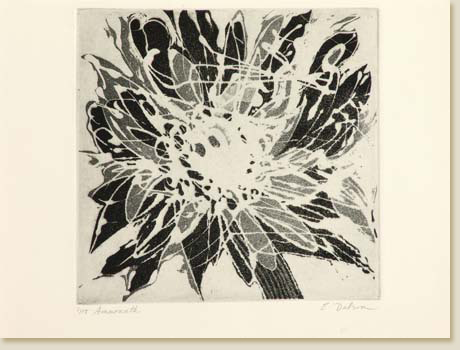 Amaranth II by Elizabeth Delson