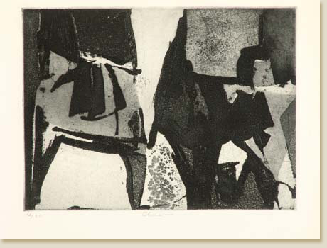 Chasm by Elizabeth Delson