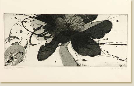 Strange Bloom by Elizabeth Delson