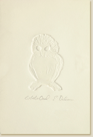 White Owl by Elizabeth Delson