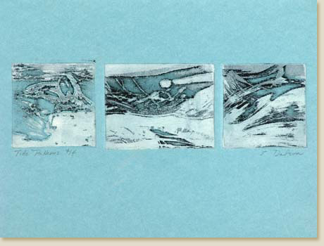 Tide Patterns by Elizabeth Delson