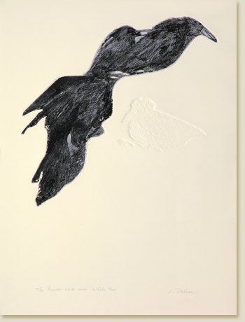 Metamorphoses 04: The Raven Once was White by Elizabeth Delson