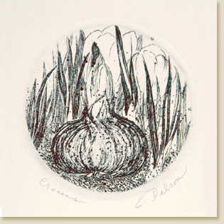 Miniatures 01: Crocus by Elizabeth Delson