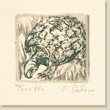 Miniatures 02: Turtle by Elizabeth Delson