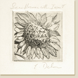 thumbnail link to Miniatures by Elizabeth Delson